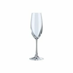 Rosenthal Champagner Glas DiVino Glatt